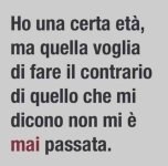 FB_IMG_1670242454624.jpg
