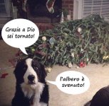 FB_IMG_1670334903222.jpg