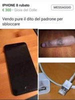 FB_IMG_1670324556420.jpg