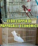 FB_IMG_1670495073371.jpg