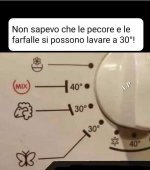 FB_IMG_1670491952055.jpg
