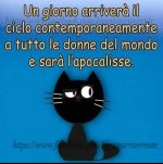 FB_IMG_1670491861873.jpg