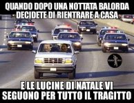FB_IMG_1670491797859.jpg