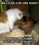 1670701354934.png