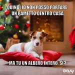 FB_IMG_1670760098914.jpg