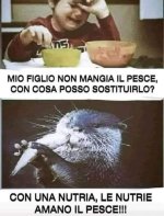 FB_IMG_1670749908290.jpg