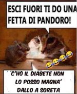 FB_IMG_1670696540372.jpg