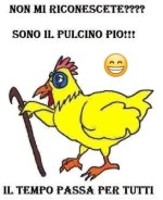 FB_IMG_1670683388236.jpg
