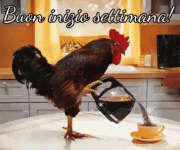 buon-inizio-settimana-buona-settimana.gif