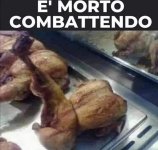 FB_IMG_1670933282179.jpg