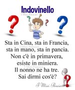 FB_IMG_1670953526699.jpg
