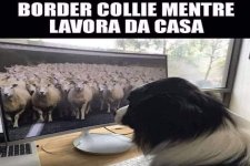 FB_IMG_1670929352338.jpg