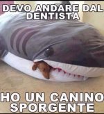 FB_IMG_1671022695291.jpg