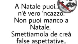 FB_IMG_1671128704447.jpg