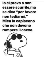 FB_IMG_1671113082891.jpg