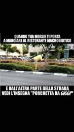 FB_IMG_1671112876434.jpg