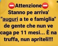 FB_IMG_1671087610225.jpg