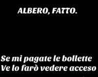 FB_IMG_1671201128551.jpg