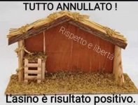 FB_IMG_1671201465526.jpg