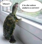 FB_IMG_1671200488762.jpg
