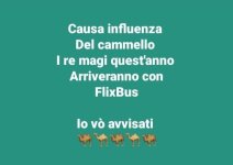 FB_IMG_1671200412988.jpg
