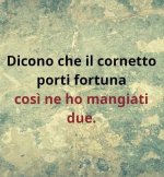 FB_IMG_1671182361417.jpg