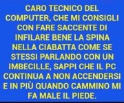 FB_IMG_1671182205174.jpg