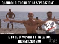 FB_IMG_1671169905725.jpg