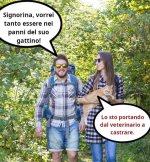 FB_IMG_1671129040197.jpg