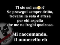 FB_IMG_1671368527333.jpg
