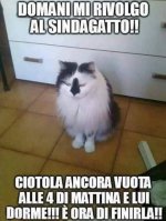 FB_IMG_1671465871233.jpg