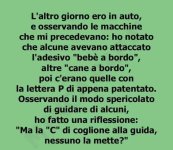 FB_IMG_1671539643552.jpg