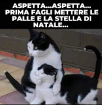 1671566871434.png