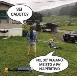 FB_IMG_1671645815172.jpg