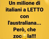 FB_IMG_1671621861689.jpg