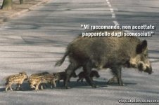 FB_IMG_1671718441199.jpg