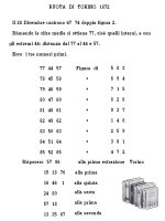 Regola dei 9 terni 07.jpg