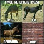 FB_IMG_1671791216025.jpg