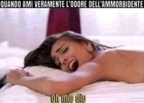 FB_IMG_1671905645591.jpg