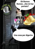 FB_IMG_1671990774215.jpg