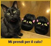 FB_IMG_1671986031430.jpg