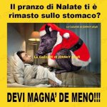 FB_IMG_1672073045008.jpg