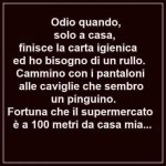 FB_IMG_1672072921293.jpg