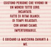 FB_IMG_1672161301493.jpg