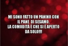 FB_IMG_1672161166942.jpg