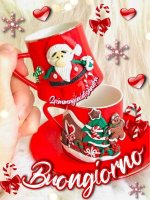 FB_IMG_1672234756227.jpg