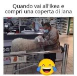 FB_IMG_1672337470916.jpg