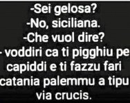 FB_IMG_1672321328864.jpg