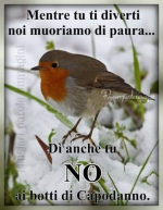 1672498312377.png