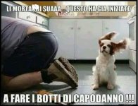 FB_IMG_1672512330123.jpg